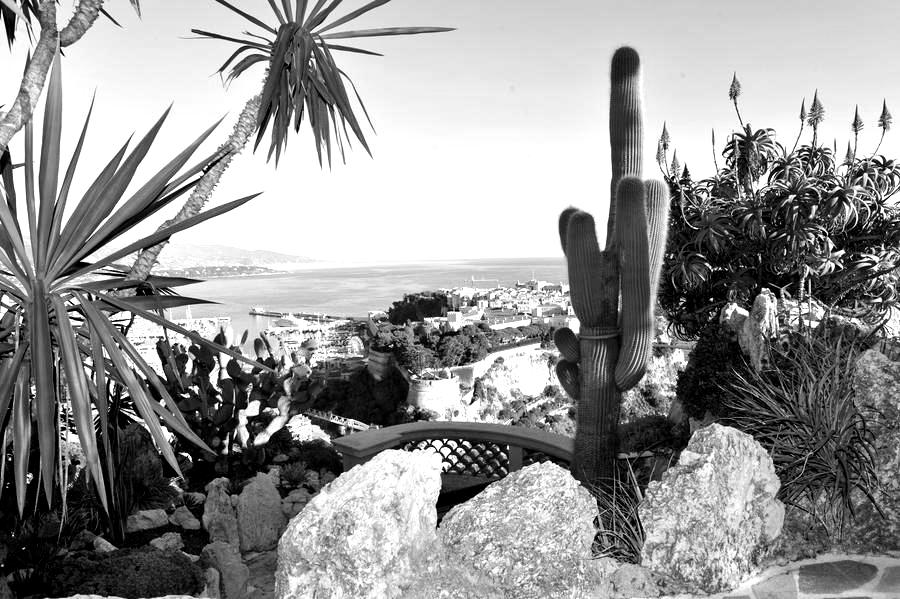 Jardin-Exotique_900x900-blackwhite - ul-noghesdumonceau